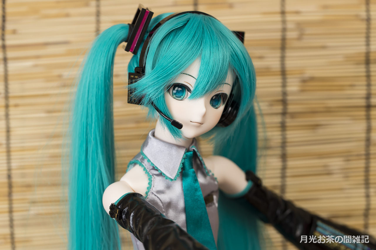 Dd 初音ミクをお迎えしてみた レビュー編 月光お茶の間雑記