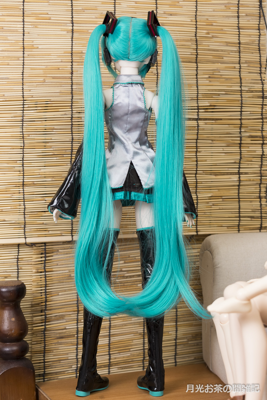 DD】初音ミクをお迎えしてみた レビュー編 | 月光お茶の間雑記