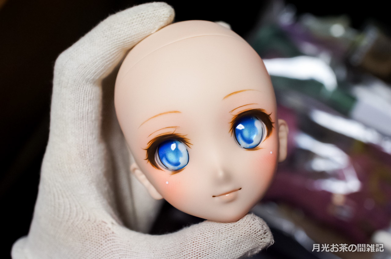 DD】しふとぷらす様のカスタムヘッドを買ってみた | 月光お茶の間雑記